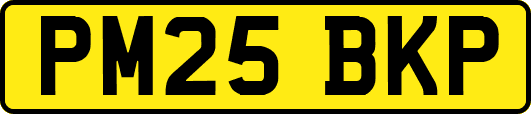 PM25BKP