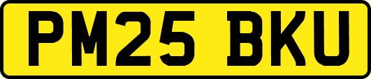 PM25BKU