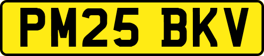 PM25BKV