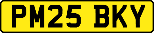 PM25BKY