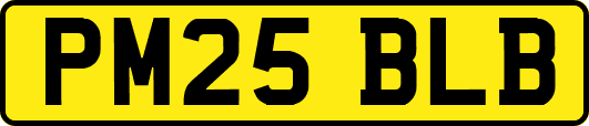 PM25BLB
