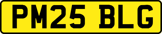 PM25BLG