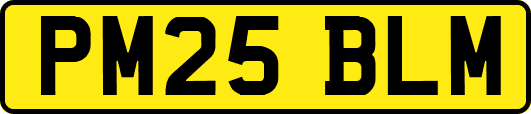 PM25BLM