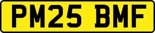 PM25BMF
