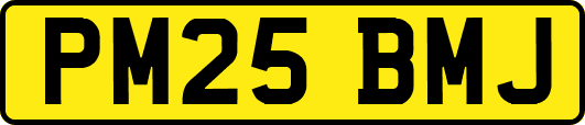 PM25BMJ
