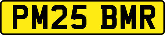 PM25BMR