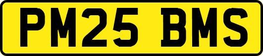PM25BMS