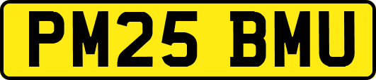 PM25BMU