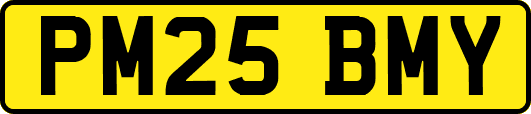 PM25BMY