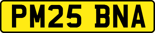PM25BNA