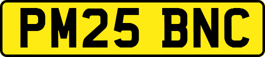 PM25BNC