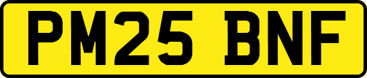 PM25BNF