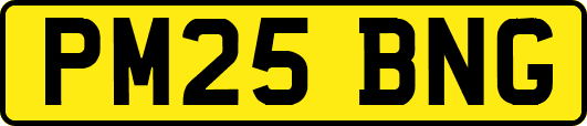 PM25BNG