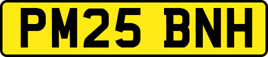 PM25BNH