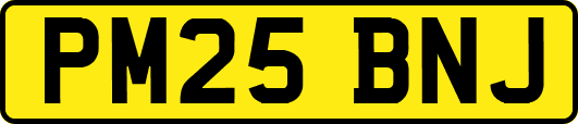 PM25BNJ