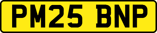 PM25BNP