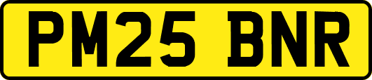 PM25BNR