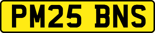PM25BNS