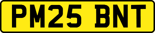PM25BNT