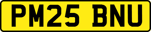 PM25BNU