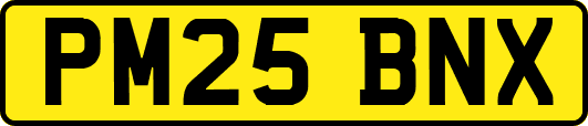 PM25BNX