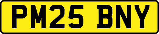 PM25BNY