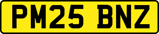 PM25BNZ