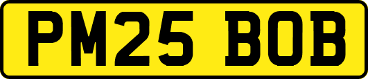 PM25BOB