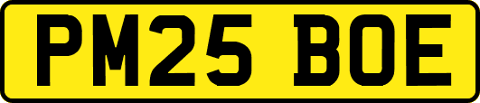 PM25BOE