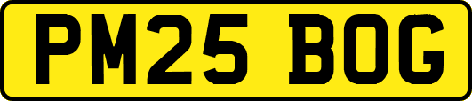 PM25BOG