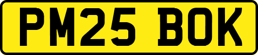 PM25BOK