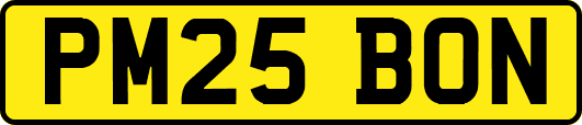 PM25BON