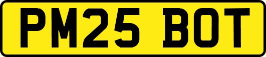 PM25BOT