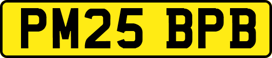 PM25BPB