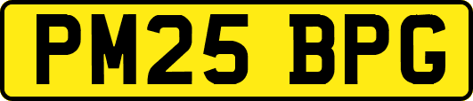PM25BPG