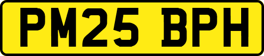 PM25BPH