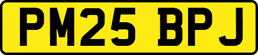 PM25BPJ