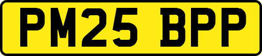 PM25BPP