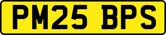 PM25BPS