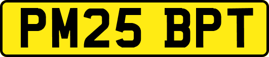 PM25BPT