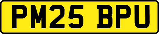 PM25BPU