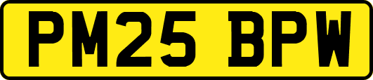 PM25BPW