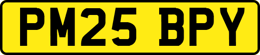 PM25BPY