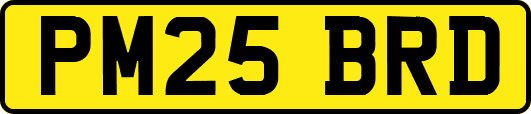 PM25BRD