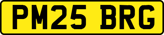 PM25BRG