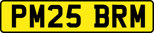 PM25BRM