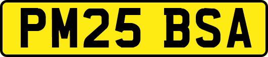 PM25BSA