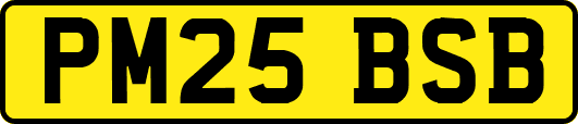 PM25BSB