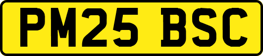 PM25BSC