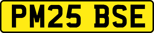 PM25BSE